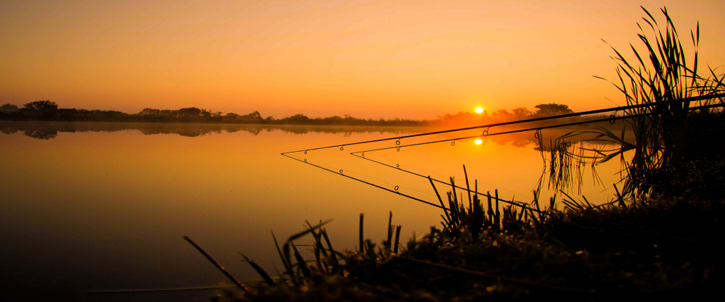 Predator rods Verkäufe -Predator rods Verkäufe 6225 optuigen hengels