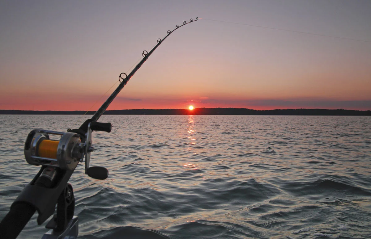 Predator rods Verkäufe -Predator rods Verkäufe Angelrute Multirolle Angelr