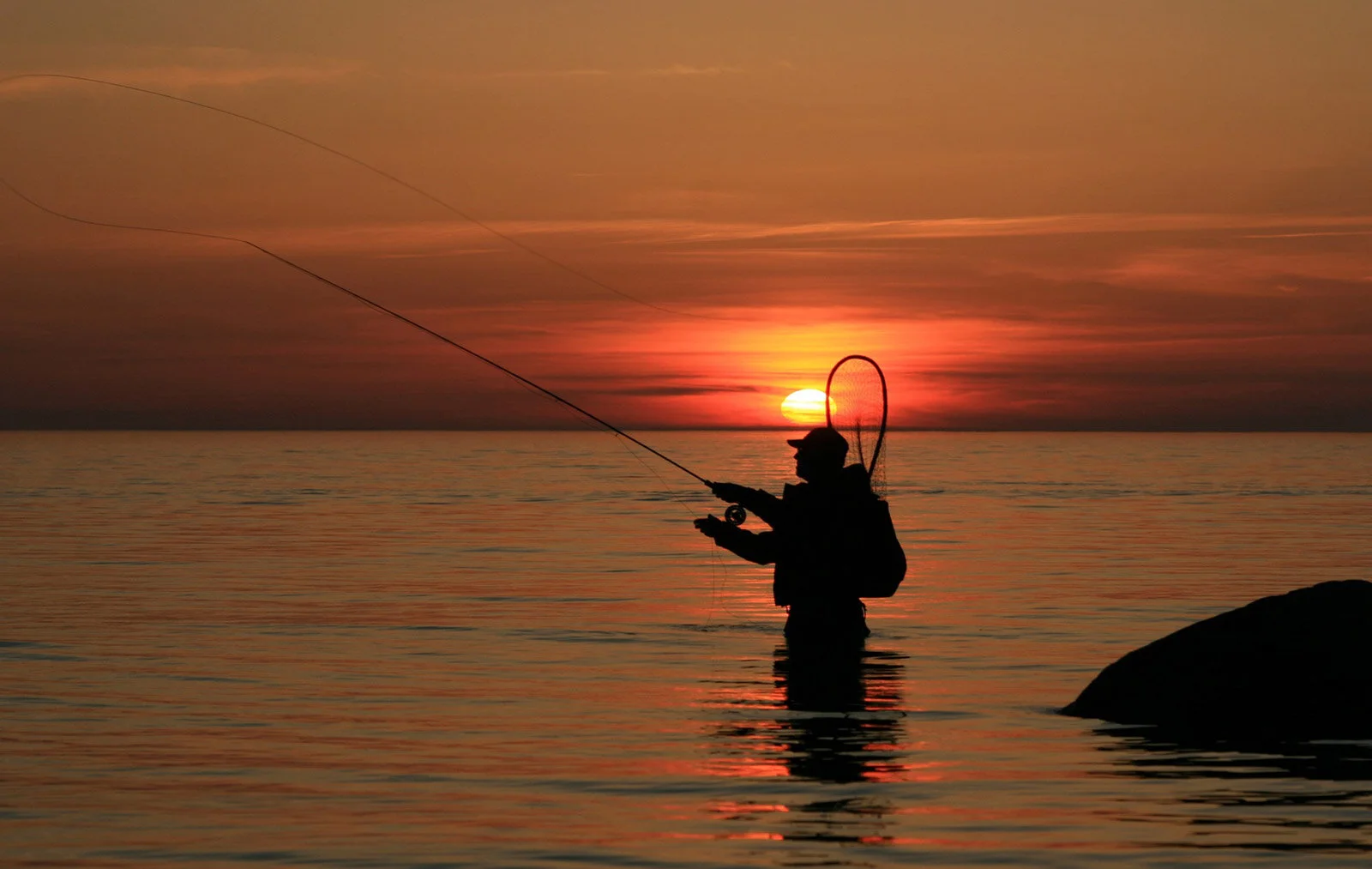 Predator rods Verkäufe -Predator rods Verkäufe Fliegenfischen im Meer