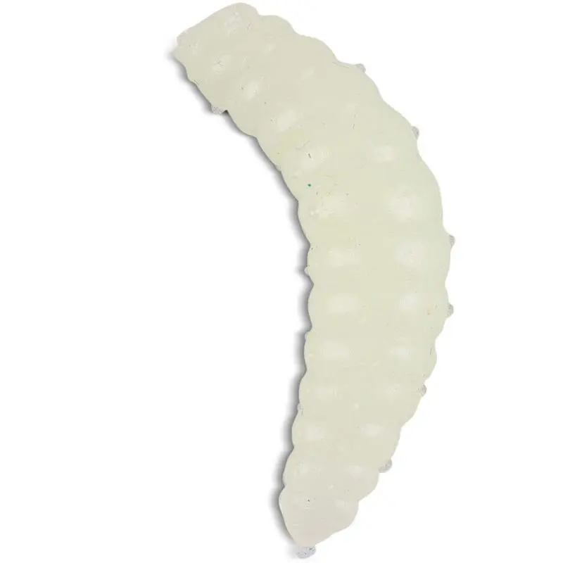 Iron Trout Bee Maggots LU 3 Iron Trout Bee Maggots LU